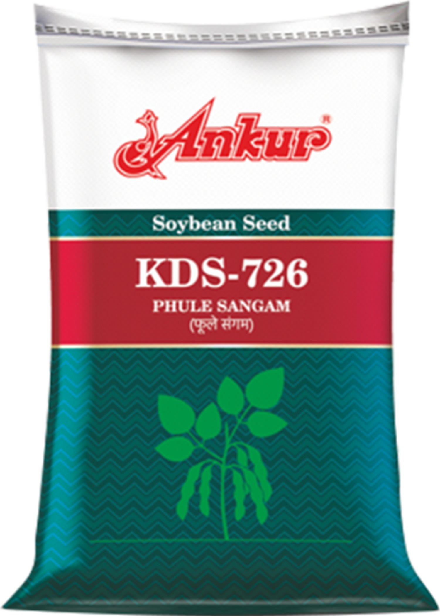 Soybean KDS-726 